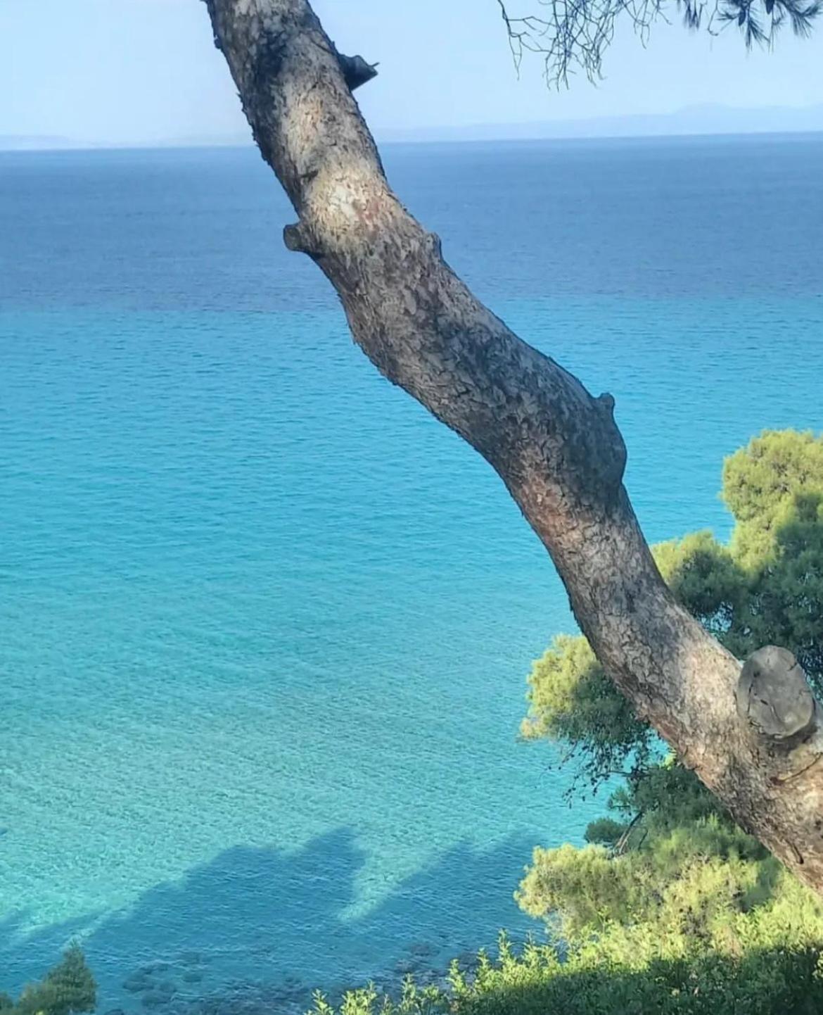 Villa Palma Kallithea  المظهر الخارجي الصورة